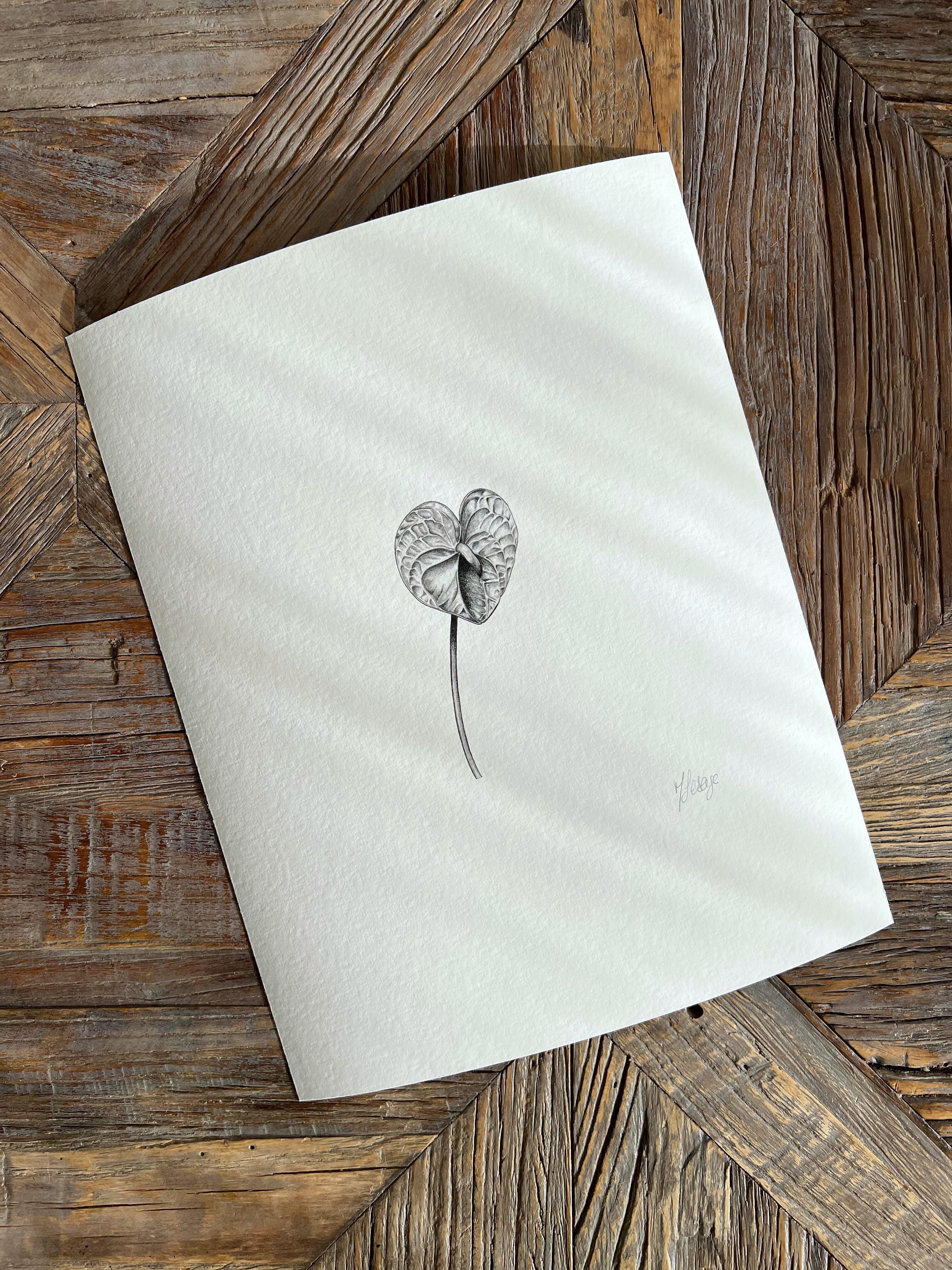 Tirage - Anthurium