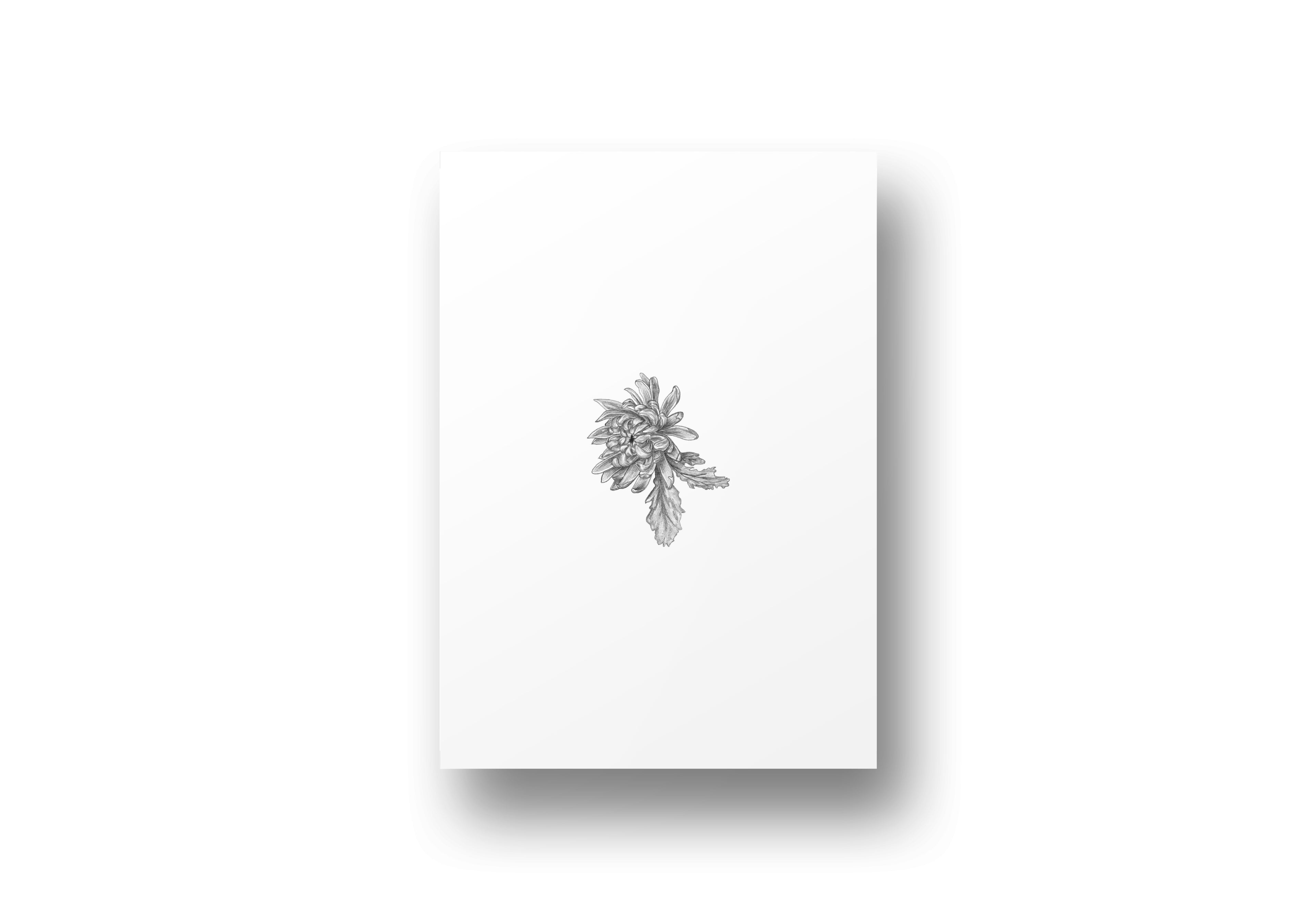 Tirage - Chrysanthème
