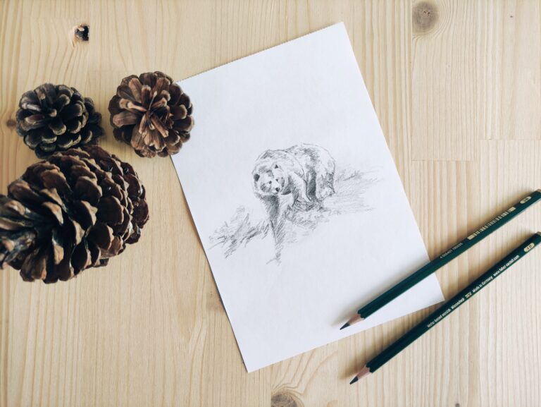 Dessin d'un ours réalisé au crayon papier