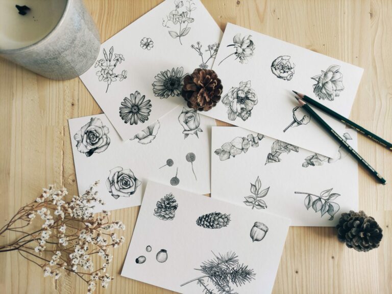 Dessins fleurs, nature morte pour intégrer des illustrations